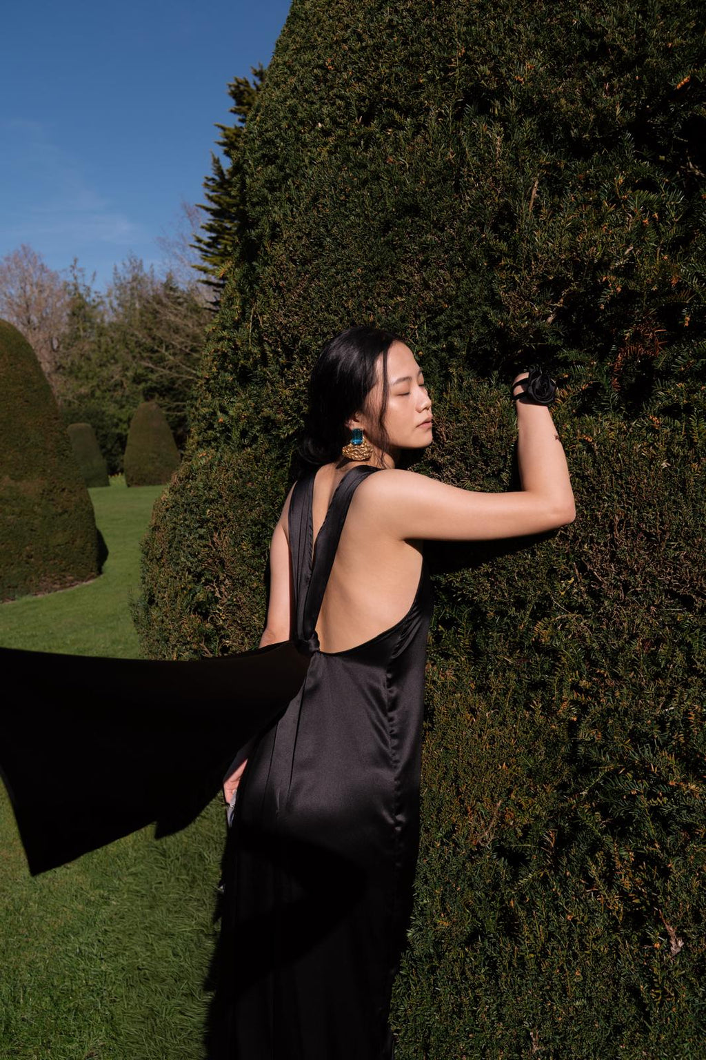 THE SILK DRESS